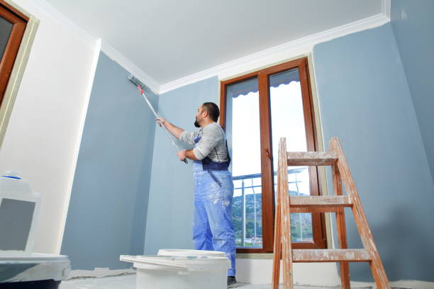 Best Post-Construction Mold Inspection  in North Lima, OH