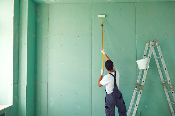 Best Environmental Consulting for Mold Prevention  in North Lima, OH