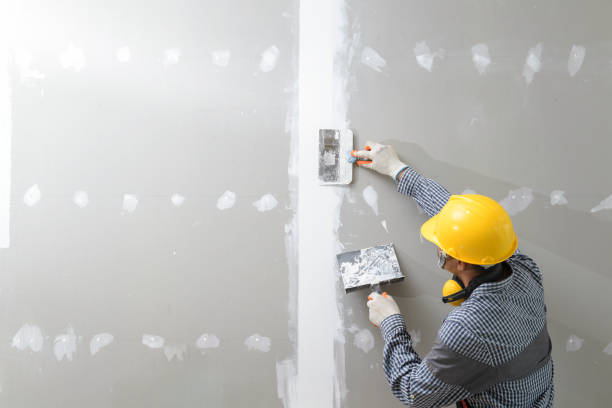 Best Attic Mold Removal  in North Lima, OH