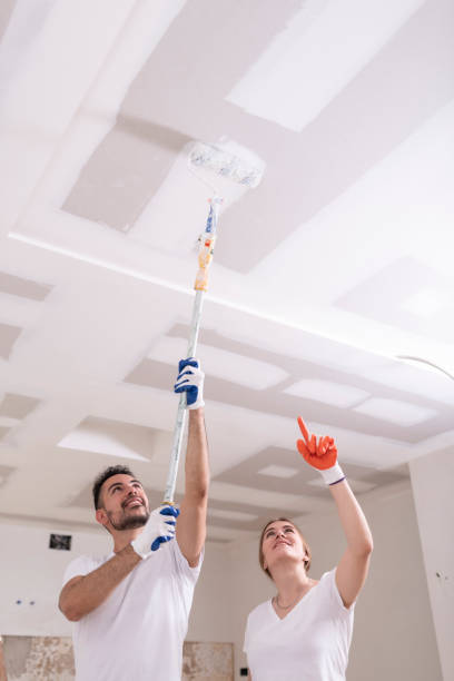 Best Dehumidification Services  in North Lima, OH