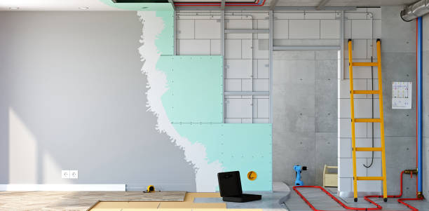 Best Black Mold Removal  in North Lima, OH