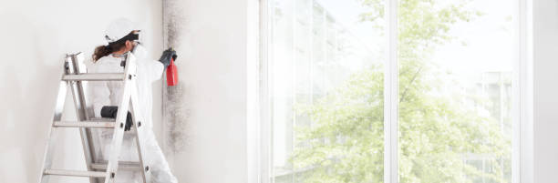 Best Mold Remediation for Healthcare Facilities  in North Lima, OH